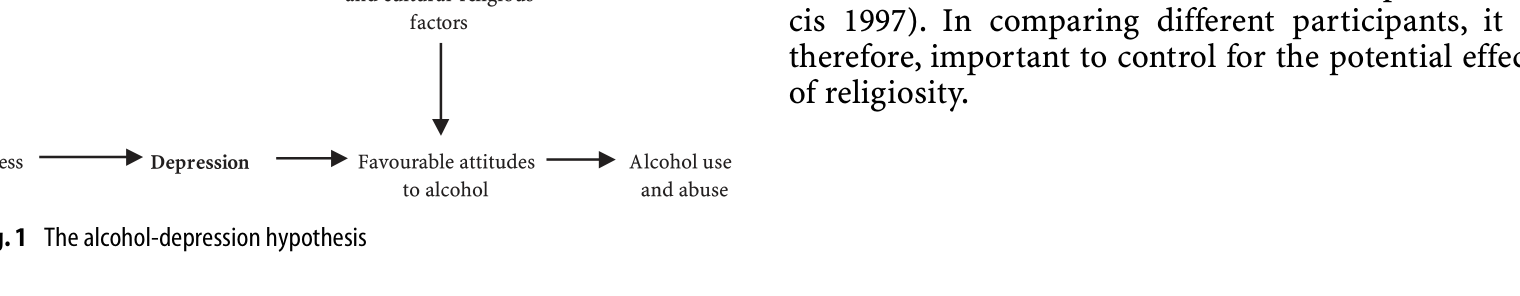 Figure 1. The alcohol-depression hypothesis.