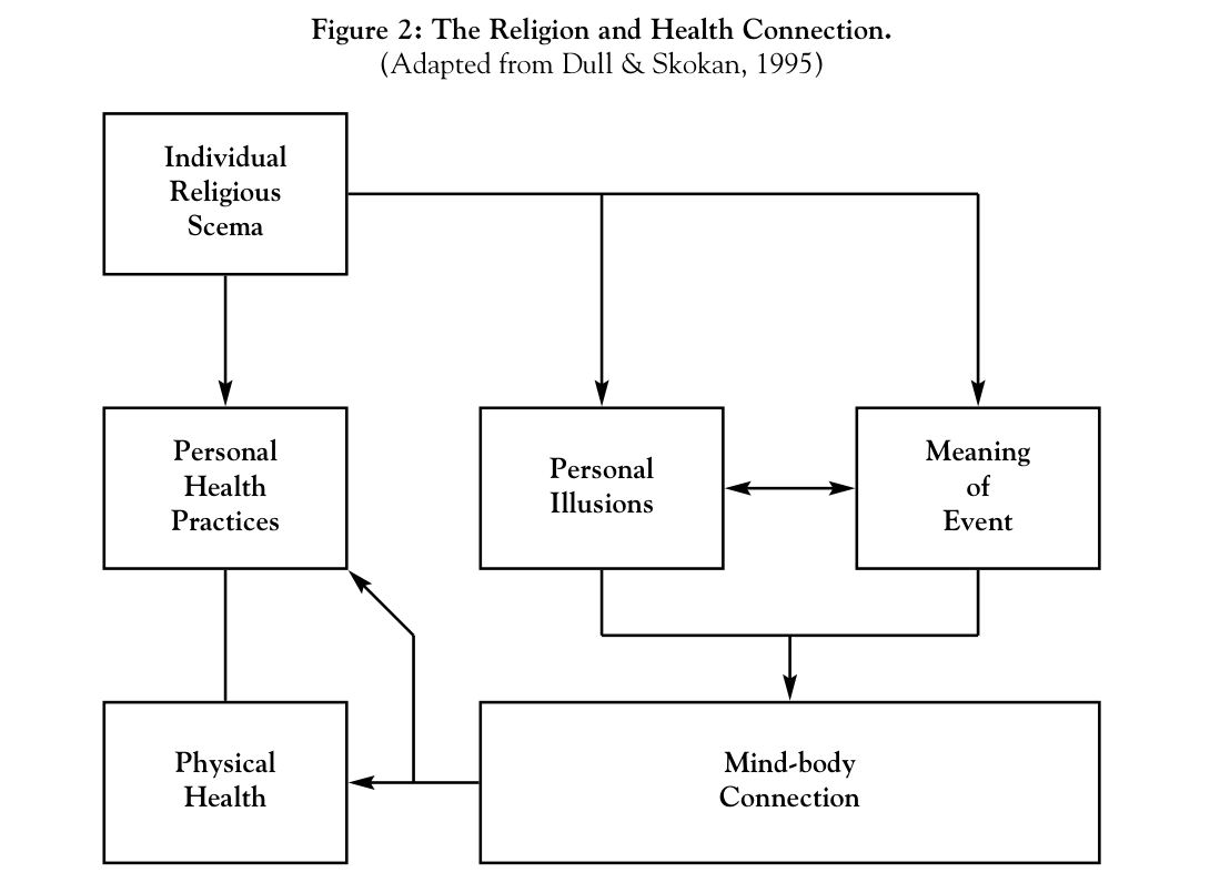 Figure 2. The religion and health connection. (Adapted from Dull & Skokan, 1995.)